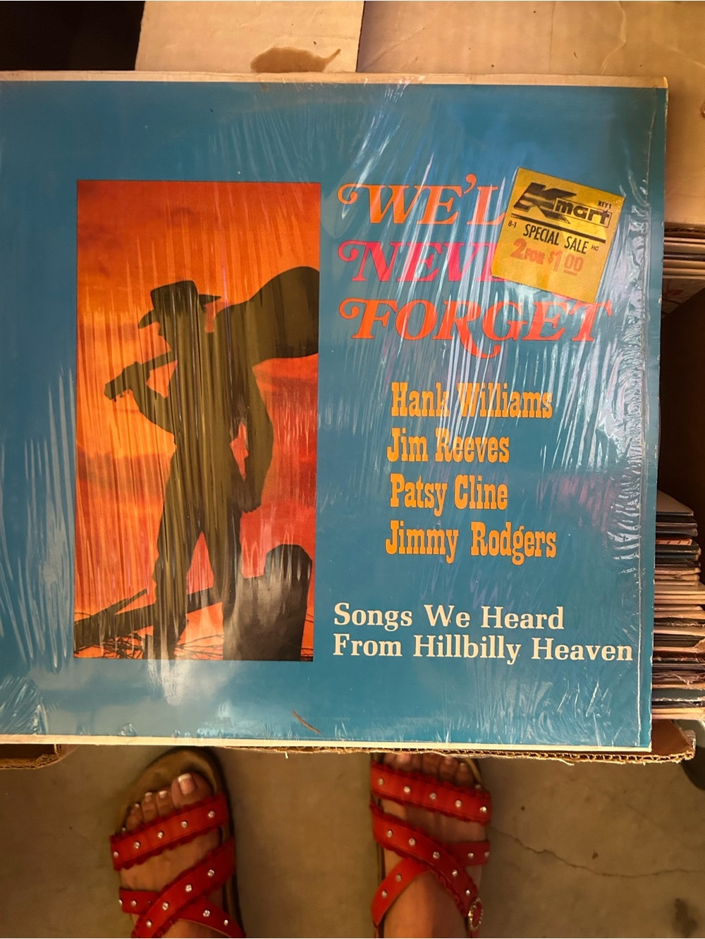 vinyl LP titled We'll Never Forget: Songs We Heard From Hillbilly Heaven.